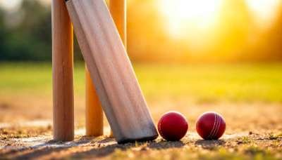 Box Cricket