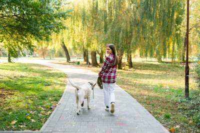 Pet Park